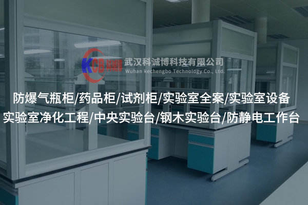 黃岡實驗室天平臺，能否成為實驗精度的“關(guān)鍵先生”？